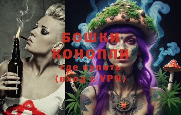 прущий лед Алзамай